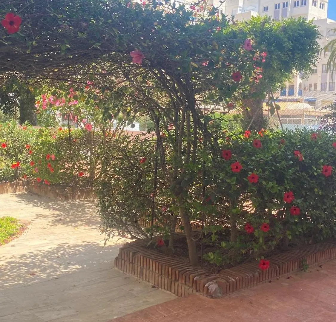 Apartamento En Playa Serena Roquetas de Mar Apartment